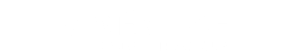 Vertice Consulting Group